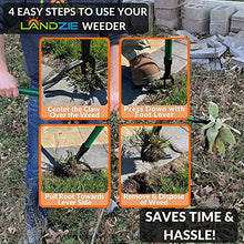 Landzie Spreader & Weeder Lawn Care Set - 60" Compost Spreader & 44" Manual Weeder Green