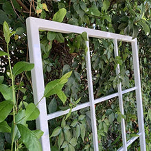 Classic Metal Garden Trellis, Wall Mounted, Plant Trellis, All Aluminum, White Powder Coated, Handmade, 65" x 27", Garden Decor, Yard Art