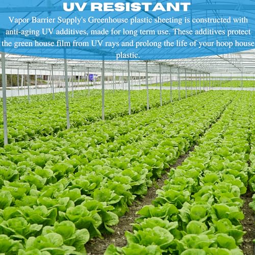 Farm Plastic Supply Vapor Barrier Supply String Reinforced 10 mil Clear Greenhouse Plastic Sheeting Clear 54' x 100'
