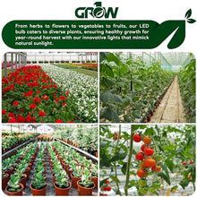 Grow1 Greenhouse Lights for Plants 48 Feet (24 Bulbs) IP 64 Rating Outdoor Grow Lights for Plants Waterproof, 6500K Spectrum Bulbs for Greenhouse Light