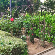 GFSGHZZ Galvanized Metal Rose Trellis Arch - Sturdy Freestanding Garden Archway for Climbing Plantsideal for Rose Bushes and Vinesoutdoor Det,Brown-W240Xh230Cm