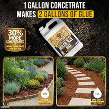 PetraMax Lockscape Rock and Mulch Glue for Landscaping, 4 Gal Concentrate