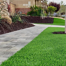 Generic Luxurious Realistic Artificial Grass Turf Roll for Outdoor Indoor Lawn - Pine-green & Bamboo-green (12 x 78)