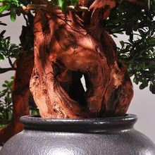 QWERAXZG Decorative Home Porch Vase Landscape Decoration Large Simulation of Zen Indoor Bonsai