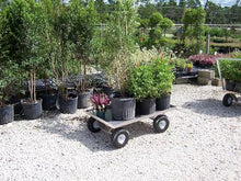 Aluminum Pull Wagon-Commercial Grade-Lightweight-No Rust-Made in USA