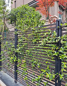 Garden Trellis, Wall Climbing Plant Support Frame Trellises Vines & Flowers Garden Plant Climber for Plants Roses Flowers Vegetables (OneColor-Style 8