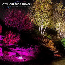 WAC Lighting LED 12V Colorscaping Smart App Controllable Landscape Lighting with RGBWW Color Changing and Tunable White Accent 15W Spot Light with Adjustable Beam Angle in Bronze