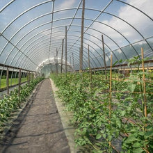 Farm Plastic Supply Clear 6 Mil Vapor Barrier Greenhouse Plastic Sheeting 40' x 120'
