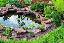 HALF OFF PONDS Hybrid 3000 Complete Water Garden and Pond Kit with EPDM Rubber Liner Black