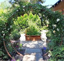 TERRA TRELLIS Gracie Modern Arbor Moongate for Outdoor Plants | Garden Arch Climbing Vines Trellis | Modern, Steel & Durable Metal Round | Regular (Oxide)