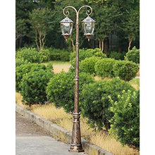 Post Lights Outdoor Lamp Post Lights Outdoor, 86in 220cm Garden Lamp Post Light Pillar Post Light Outdoor Aluminum Path Pillar Lamp 2-Head Bollard Path Lamp Waterproof IP65 Street Light Glass LAN