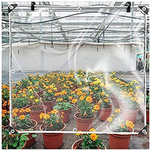 Clear Tarpaulin Outdoor Waterproof Garden Furniture Cover 0.3mm Thick Durable Frost Protection Tarpaulin for Camping Caravan Plant Customizable (Color : Clear, Size : 5x10m) (Clear 3x8m)