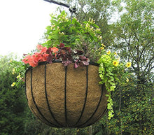 22in Bellus Large Hanging Basket 4PK - 22in x 12in - Black PVC Coated