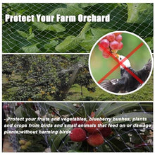 Anti Bird Protection Mesh Garden Netting for Berries, White Nylon Plant Trellis Cover Commercial, Cuttable Pet Mesh Fencing for Patio, Balcony