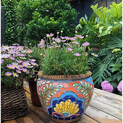 FAFACAI Rural Outdoor Courtyard Flowerpot Hand-Painted Colorful Classical Planter Ceramic Plant Pot Large Flower Pot European Flowerpot Garden Balcony Decoration Bonsai Pot (51 * 39cm)