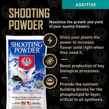 House & Garden Roots Excelurator 1 L & Shooting Powder 65 G Sachet Kit
