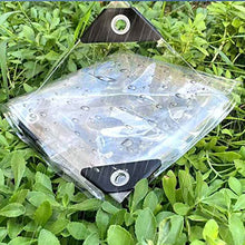 SCNSYL Transparent Waterproof Tarp 29.5x29.5ft,Heavy Duty PVC Clear Tarpaulin Sheet,Rainproof Outdoor Garden Plant Canopy Cover,Tarp with Grommets,Transparent