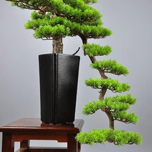 MVUYO Hotel Sample Room Creative Welcome Pine Bonsai Home Living Room Porch Bonsai Decoration
