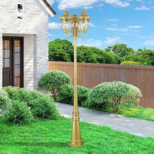 Livex Lighting 7866-33 Oxford Light Fixture, Soft Gold