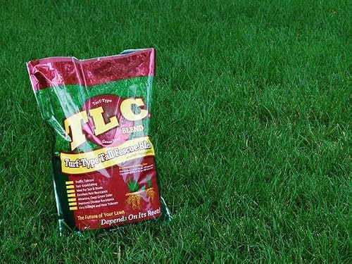 TLC Tall Fescue Grass Seed Blend (50 Lbs.)