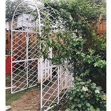 SDdPulse Garden Arbors and Arches, Pergola Arbor for Climbing Plants, Heavy Metal Trellis Archway, for Roses Vines, Lawn, Outdoor Party Decoration, Reconfigurable (White 240x40x250cm)