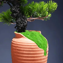 QWERAXZG Imitation Welcome Pine Bonsai Decoration Ceramic Vase Set Living Room Fake Flower