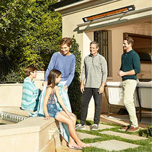 Infratech SL Series Slimline Single Element Anodized Aluminum 63.5" 3000W Silver Bronze Outdoor Heater