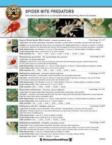125,000 Predatory Mites Amblyseius andersoni Bottle
