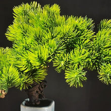 QWERAXZG Simulation Welcome Pine Bonsai Small Decoration Zen Office Desktop Green Plant