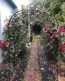 Garden Metal Arch Support Rose Tree Various Climbing Plant Supports Decorative Backyard (w320xh240cm) (Size : W180xh240cm) (a W320xh240cm)