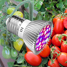 Led Grow Lights Spectrum Grow Lamp Led Full-Spectrum Plant Lamp Indoor Greenhouse Nursery Fill Light Plant Growth Lamp