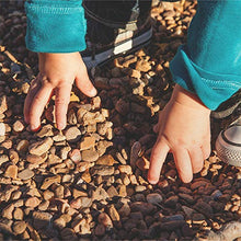 Southwest Boulder & Stone Landscape Rock and Pebble | 2000 Pounds | Natural, Decorative Stones and Gravel for Landscaping, Gardening, Potted Plants, and More (Arizona, 3/8 Inch)