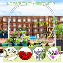 GFSGHZZ Metal Garden Arch Trellis for Climbing Plants - Sturdy Tubular E 220X230X40Cm - T for Backyardlnpatiocourardweddings,Green-340X230X40Cm