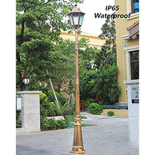 iumLeap 118.11In Outdoor Garden Lamp Post Light Aexterior Path Pillar Lamp Pillar Post Light Glass Lantern Single Head Bollard Path Lamp Waterproof Ip65 Street Light Mains Po(Bronze-300CM(118.11in))