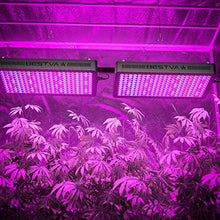 JINHH DC Series 4000W LED Grow Light 5x4ft Covera Upgraded SMD Diodes Aluminum Reflector Full Spectrum Grow Lamps for Greenhouse Hydroponic Higher PPF Indoor Plants Growing Lights