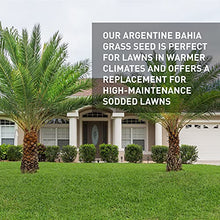 Hancock's Argentine Bahia Grass Seed - Coated - 50 lbs.