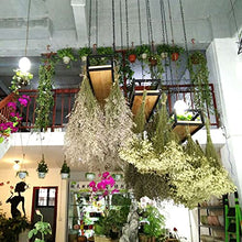 Flower Pot Rack Storage Ceiling Shelf Hanging Planters For Indoor Plants - Hanging Flower Pot For Wall And Ceiling Mounting - Plant Holder For Bar Garden Balcony, Wood An,120X25X15Cm