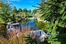 HALF OFF PONDS PondBuilder Elite 6100 Complete Water Garden and Pond Kit with EPDM Liner Black