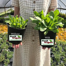 Soil Vigor Potassium Polyacrylate for Garden 45 White