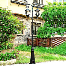 EliteBloom Lamp Post Lights Outdoor,S Outdoor Light, of High Pole Light Aisle Villa Landscape Anti-Rust Lighting Fixture Pillar,Black-Height 350cm