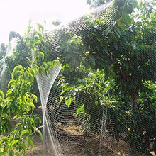 ZAVEIL Doesn't Tangle Anti Bird Netting, Reusable Pond Net, Cuttable Garden Plant Cover, for Protecting Vegetables/Fruit/Plants/Ponds, 2 cm Mesh Size (Size : 30x30m/98.4x98.4ft)