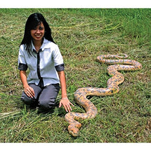 Design Toscano Giant Burmese Python Snake Statue Full Color