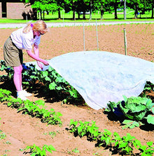 DeWitt Company Seed Guard, 12 by 1000-Feet