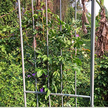SDdPulse Retro Garden Arch, Metal Rose Arch Arbor,Climbing Plants Decoration Pergola Arbor,for Outdoor Lawn/Terrace/Garden Entrance,Easy to Assemble,2 Styles (Antique Green A)