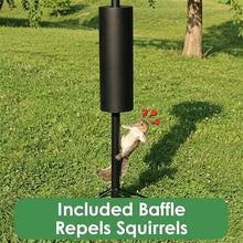 Backyard Essentials Squirrel Proof Bird Feeder Pole with Squirrel Baffle - 8 Hook Heavy Duty Stand - 8+ Foot Tall Black Powder Coated Steel Pole with Deep Set Auger Anchor