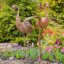 Zaer Ltd. Set of 2, Pair of Large Metal Dancing Herons in a Distressed Painted Finish (Set of 2 - Open Wings and Puffy Feathers, Aged Brown)