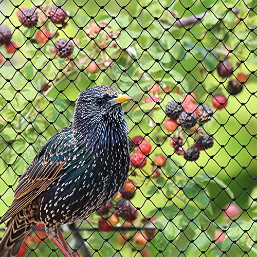 Bird-X Heavy-Duty Netting 50ft x 100ft Black