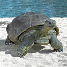 Design Toscano Grand Scale Wildlife Galapagos Tortoise Statue Full Color