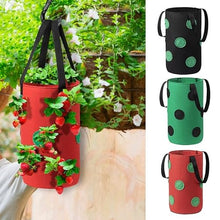 Multi-Port Grow Bags 13-Hole Felt Hanging Planting Bag Outdoor Reusable Thickene Garden Plant Pot for Strawberry Taro Peanut (Color : A) (C)