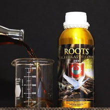 House & Garden Roots Excelurator 1 L & Shooting Powder 65 G Sachet Kit